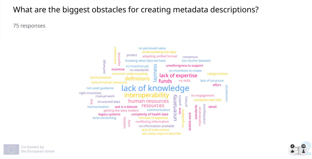 A word cloud displaying various responses to the question: "What are the biggest obstacles for creating metadata descriptions?" Larger words indicate more frequent responses.